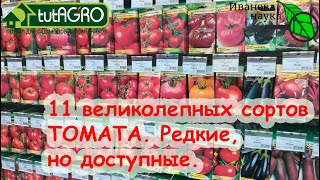 11 надежных томатов ДЛЯ ЛЕНИВЫХ ПОСАДИЛ И ЗАБЫЛ с устойчивостью к кладоспориозу и фитофторе!