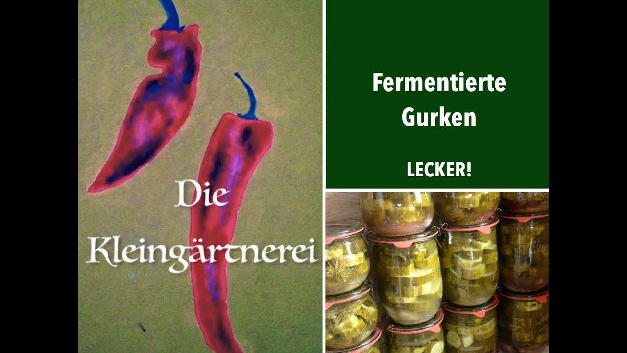 Gurkenschwemme! Gurken fermentieren | Salzgurken milchsauer einlegen