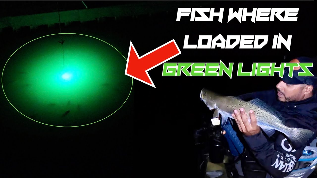 Fishing GREEN LIGHTS in FAMOUS TEXAS CHANNEL 
