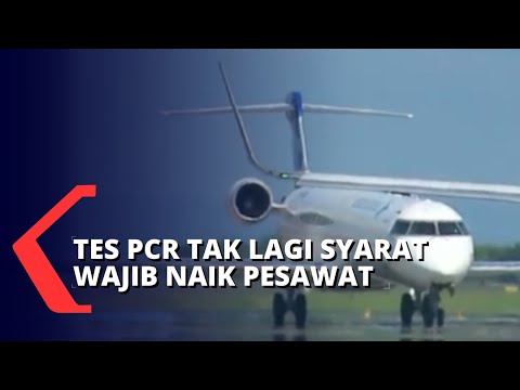 Video: Dokumen Apa Yang Diperlukan Untuk Masuk Ke Taman