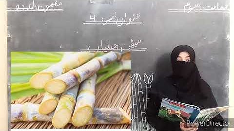 Class 3rd - Urdu - Assignment for Copy # 05 - HSS