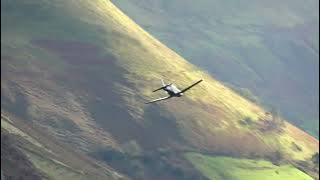 Shaun the Sheep was not as impressed as his 2-legged friends. Low level Texan. Watch until the end