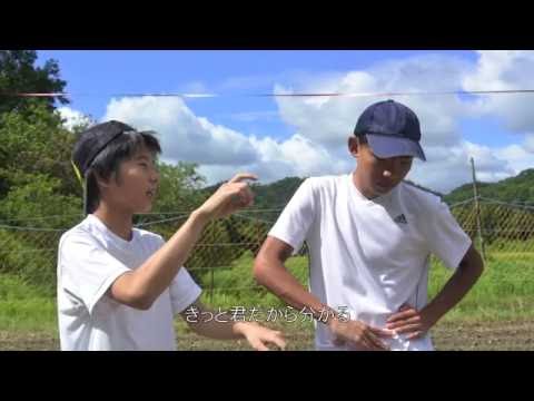 兵庫県立大学 学費 4年間