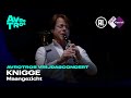 Knigge: Maangezicht - Vincent van Amsterdam &amp; LUDWIG - Live concert HD