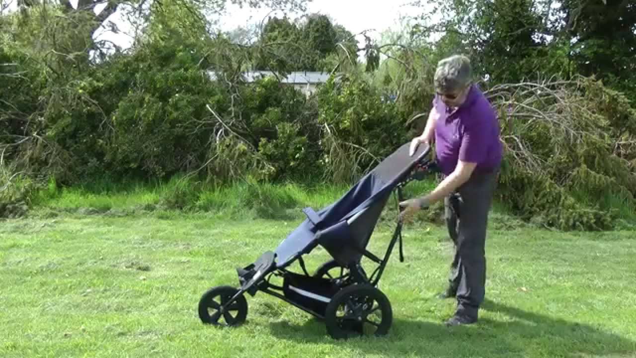 delichon delta buggy