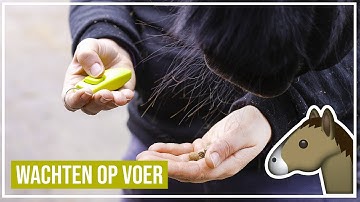Starten met clickertraining | Wachten op voer