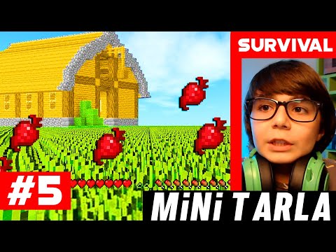 Türkçe Survival MİNİ TARLA - MINECRAFT SURVİVAL - S3 #BÖLÜM 5 @BaranKadirTekin