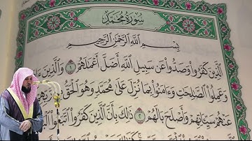 ماهر المعيقلي - سورة محمد (47) بجودة عالية - Maher Al-Muaiqly - Surah Muhammad [47]