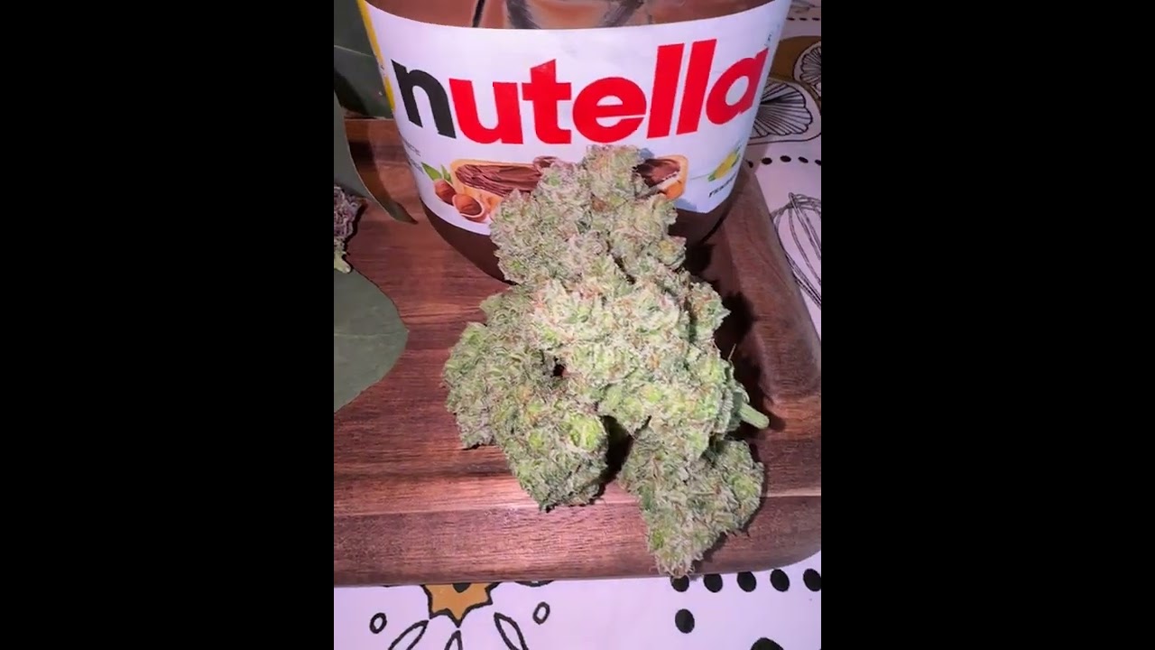 Lemon Cherry Cookies Auto™🍋🍒 Fast Buds | Indica by valiotoro