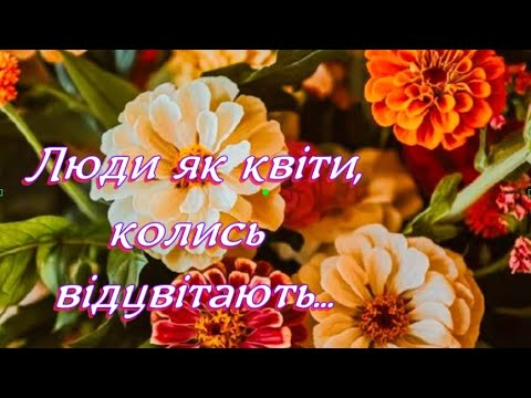 🎶🎶Люди як квіти колись відцвітають...🌷🎶🌹
