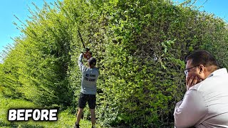 Homeowner in Big TROUBLE when GOLIATH Hedge took over his YARD!