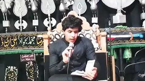 تلاوة قرآن قصيرة سيد حسن الموسوي 😍