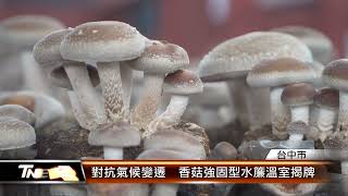 對抗氣候變遷香菇強固型水簾溫室揭牌│T-NEWS聯播網 