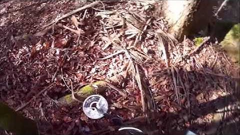 Metal detecting / Prospecção detector de metais / C.Scope CS440XD