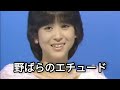 松田聖子・野ばらのエチュード【歌詞付き】