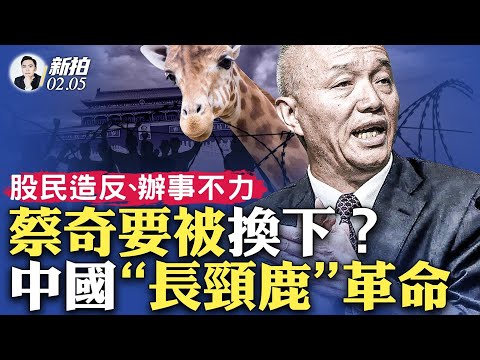 王小洪曾照顾“习明泽”！接手蔡奇的“中办主任”？中国股民担心肉眼可见的股市“下限”还没到来，“长颈鹿事变”延续，全网呼叫“陈胜吴广”；中国16年不遇的极寒天气，武汉美丽“冻”人｜新闻拍案惊奇 大宇