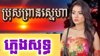 ប្រុសព្រានស្នេហា ភ្លេងសុទ្ធ-LYRIC-កំពុងល្បីក្នុង-TikTok [ KARAOKE - Bros prean Sneha ] 2023