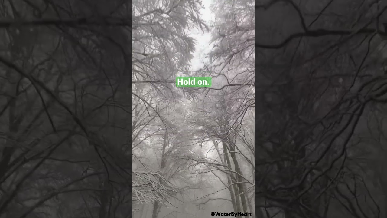 Sleduj Relaxing Wind and Snowstorm sound, reduce Anxiety & Stress ♥ MOTIVATIONAL affirmation, Inspirational na YouTube Sleduj Relaxing Wind and Snowstorm sound, reduce Anxiety & Stress ♥ MOTIVATIONAL affirmation, Inspirational na YouTube