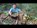 Weaving baskets to trap fish a lucky day robert  green forest life
