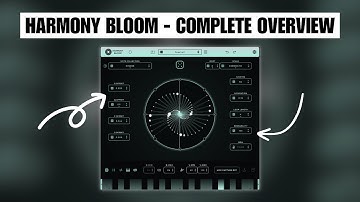 Harmony Bloom - Complete Overview