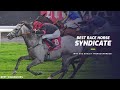 Dooley Thoroughbreds | Best Horse Racing Syndicate | Buy A Share In A Racehorse Gift