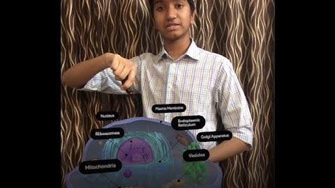 Breakthrough Junior Challenge 2020 : Mitochondria: The Cellular "Powerhouses"