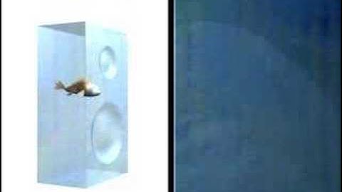 Simplicity 3-D Music Video - www.Liveline.TV