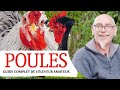 Comment elever des poules et prendre soin du poulailler