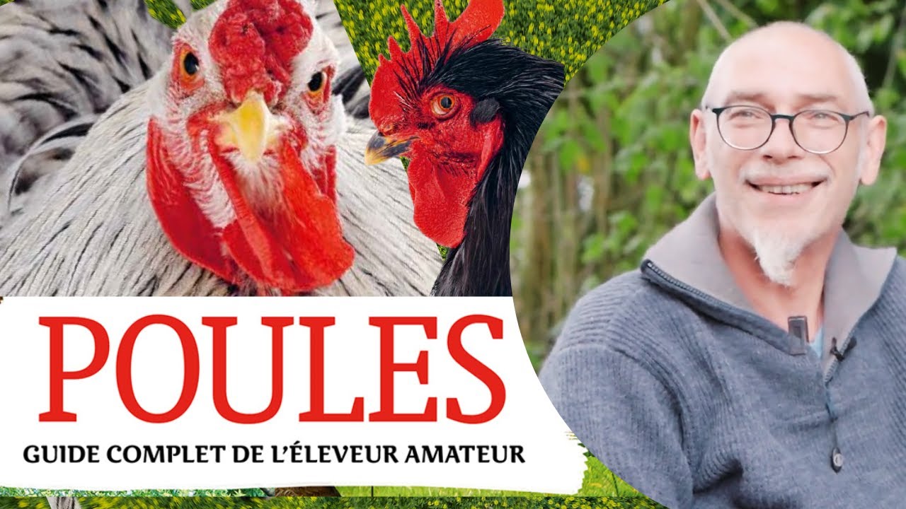 COMMENT ELEVER DES POULES ET PRENDRE SOIN DU POULAILLER