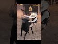 Rancho El Sombrero en Tapalpa Jalisco - Jineteo de Toro #shorts