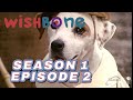 Wishbone - Season 1 Episode 2