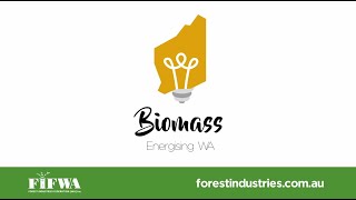 Biomass - an alternative energy source