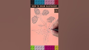How to draw Raspberry step by step | Easy Tutorial | Tutorial For Beginners | #raspberry #drawing