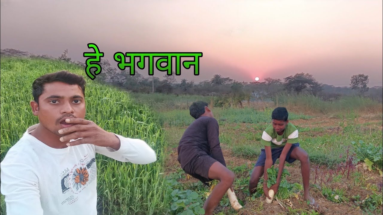 बड़े खतरनाक लोग है 😲आलू के बारी में खतरनाक तैयारी 😜vlog banate bante kya Ho Gaya 🤭  #cgvlog