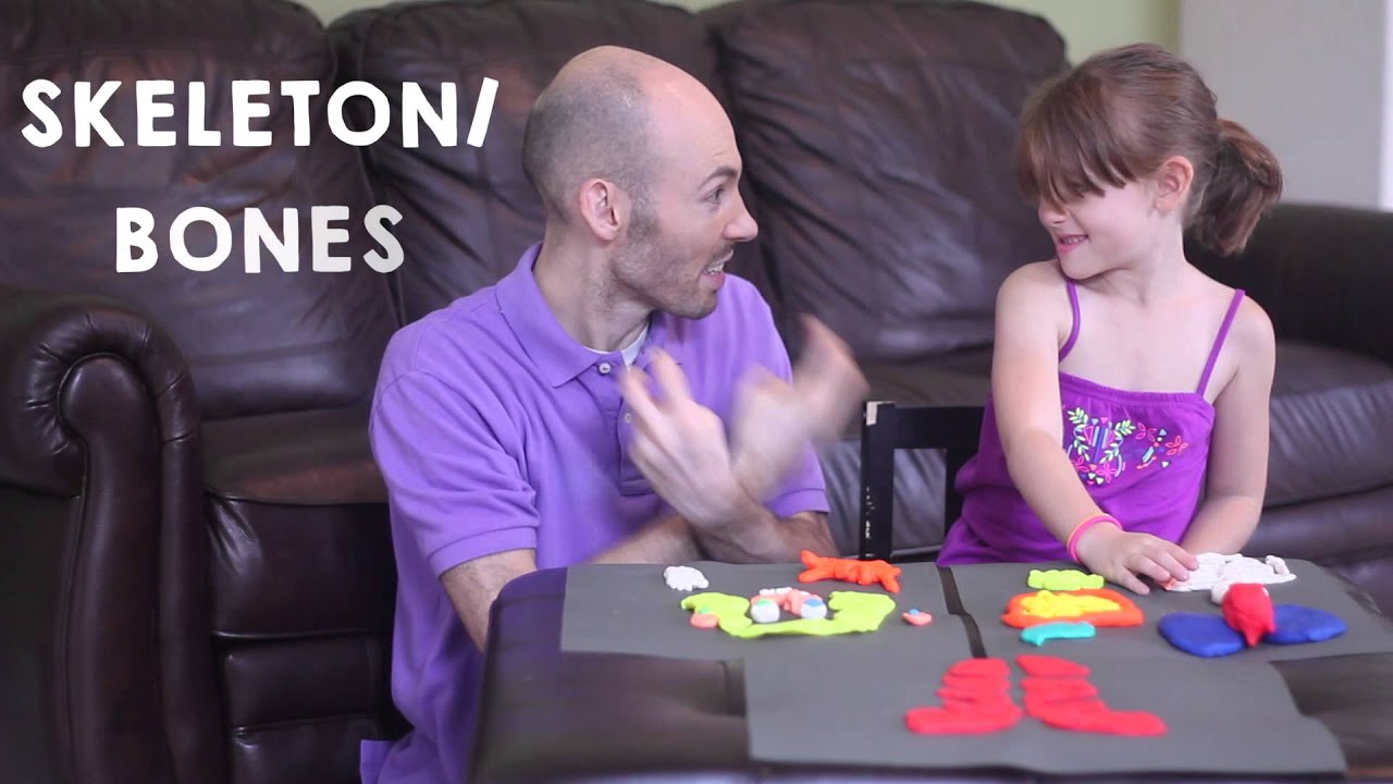 ASL Nook - Human Body in ASL