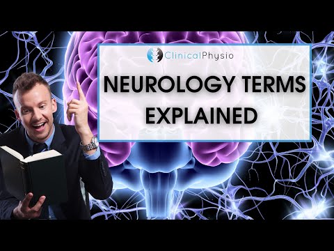 Neurology Terminology Explained | Perfect for learning and revision!