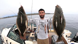 Download Lagu SOLO Boat Limit - Catching Ocean Halibut is SO EASY with this Method MP3 Download Lagu SOLO Boat Limit - Catching Ocean Halibut is SO EASY with this Method MP3