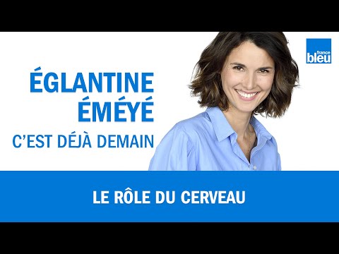 Notre cerveau est