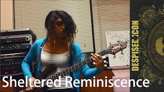 Despised Icon - Sheltered Reminiscence (Bass Cover)
