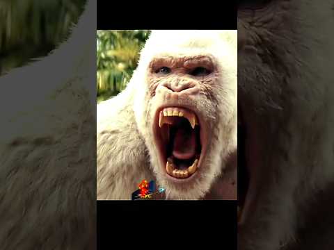 Чуть не съела обезьяна #shorts #фильмы #кино