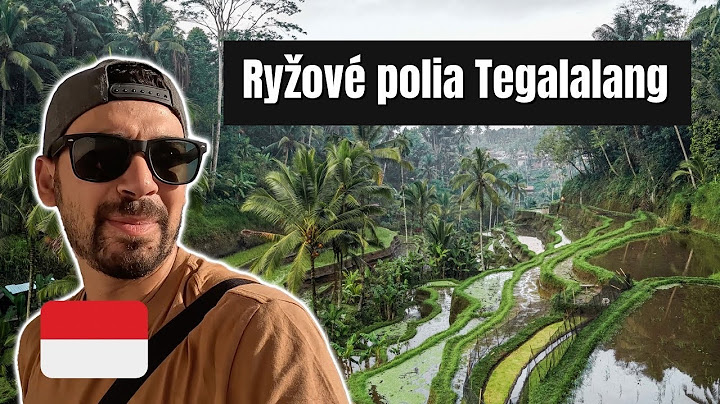 Slávne ryžové polia na BALI | Oplatí sa ich navštíviť?🇮🇩