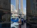 #sheikhzayed