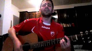 Video thumbnail of "Crvena Zvezda - Fenomenomenalno - cover by Nemanja"