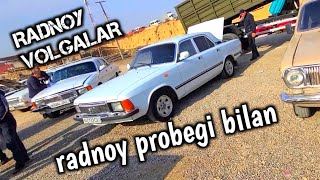 VOLGA 3110,31029,2410,ZAYCHIK YANGI NARXLARI ВОЛГА РОДНОЙЛАРИДАН НАМАНГАН МОШИ БОЗОР 7 марта 2023 г.