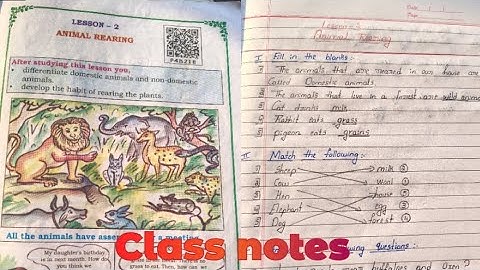 || class 2 nd EVS|| lesson -2 Animals rearing|| class notes ||#education #class2 #class2evs