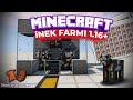 Minecraft 1.16 İnek Farmı Nasıl Yapılır - İnek Derisi ve Biftek - Storm Craft