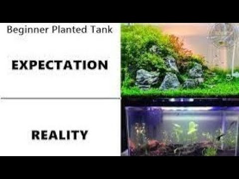 Episode 14 The Truth: Social Media v. Reality - YouTube