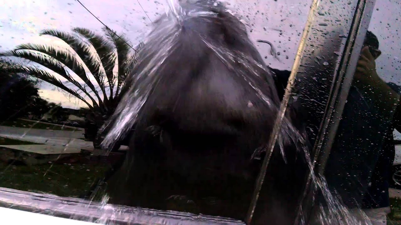 Wolfgang Uber Ceramic Coating beading/sheeting YouTube