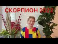 🔴 СКОРПИОН 2022 🔴 Счастливый гороскоп