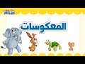المعكوسات للأطفال تعليم الكلمة وعكسها باللغة العربية The Opposite Words In Arabic For Kids 